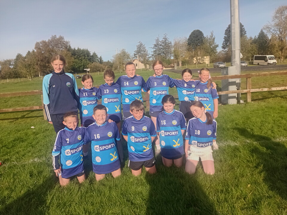 Eleven children in blue jerseys pose for a photograph in a field.