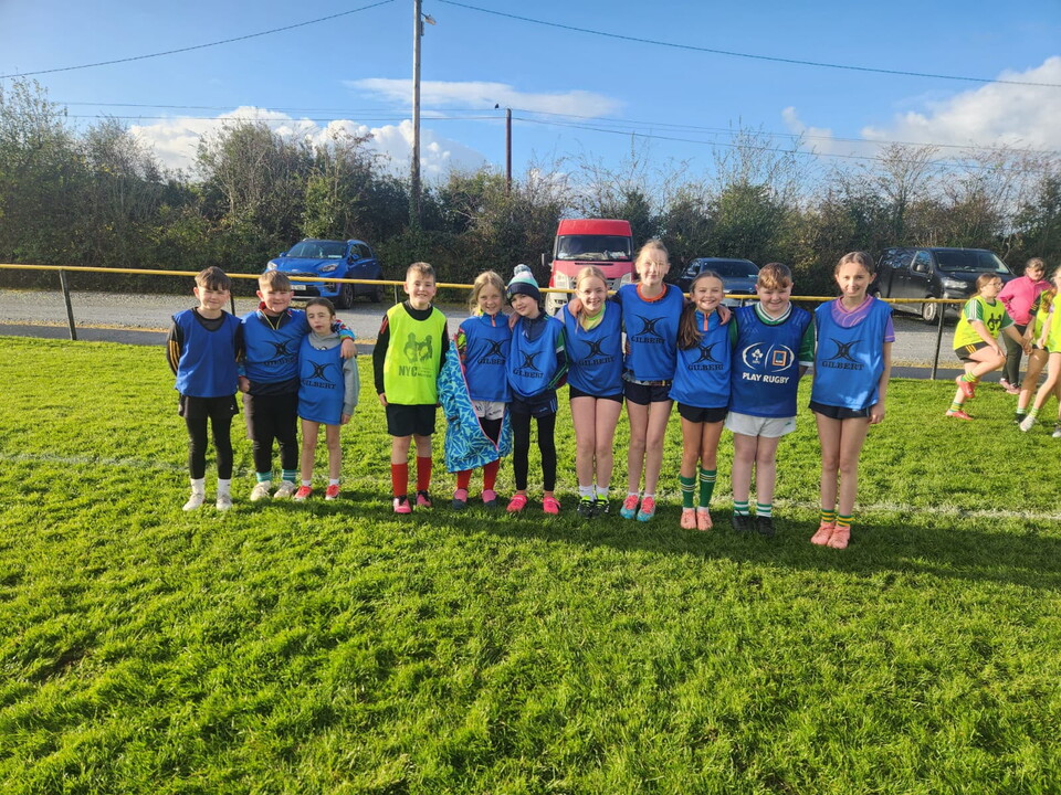 Group of young players in blue shirts and shorts posing on a green field.