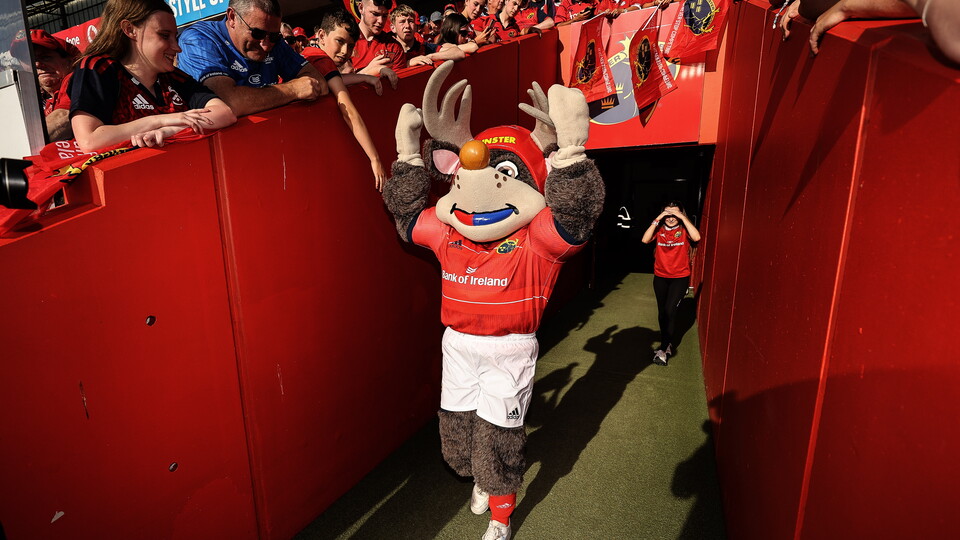 Mascot